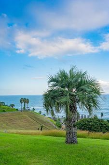 宮崎県　サンメッセ日南 サンメッセ日南,宮崎,日南の写真素材