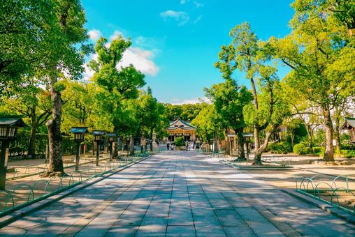 【兵庫】湊川神社 兵庫,神戸,湊川神社の写真素材