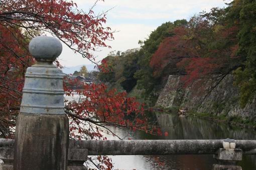 琵琶湖に繋がる水路 水路,堀,橋の写真素材