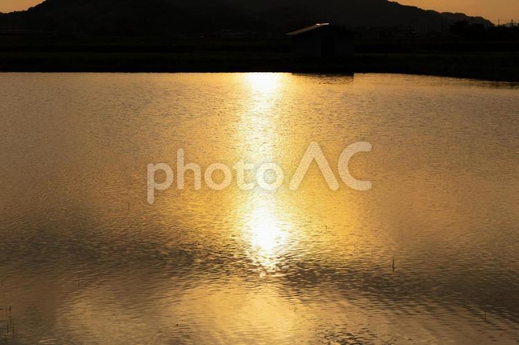 初夏の田園風景（夕暮れ） 田んぼ,水田,山の写真素材