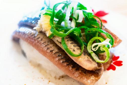 Sardine nigiri sushi, JPG