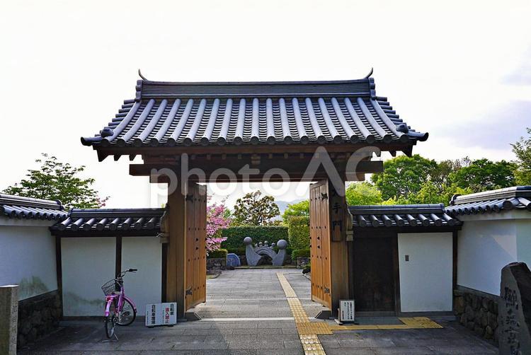 池田城跡公園　大手門 大手門,東門,石畳の写真素材