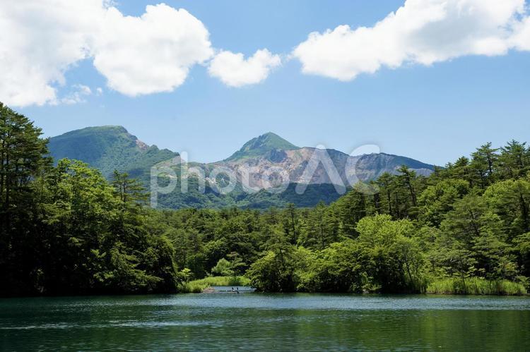 夏の五色沼から磐梯山を望む 裏磐梯,五色沼,磐梯山の写真素材