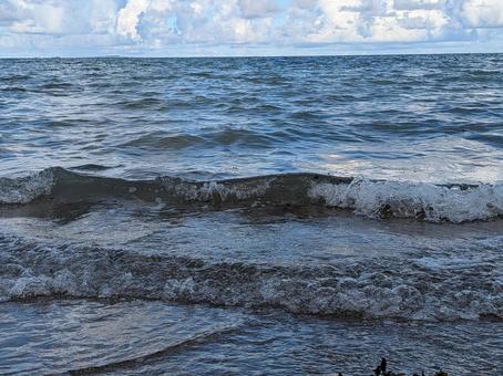 海 波 海 波の写真