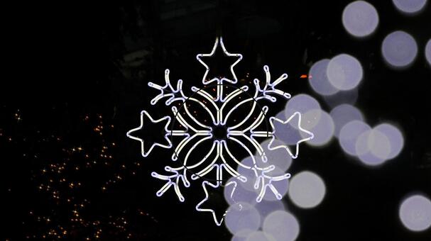 はままつフラワーパーク　イルミネーション イルミネーション,クリスマス,夜景の写真素材