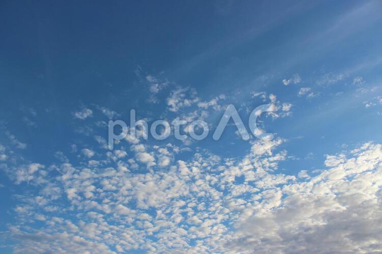 青空と雲 青空,雲,空の写真素材