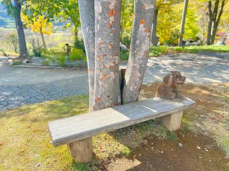 遊歩道のベンチ 遊歩道のベンチの写真