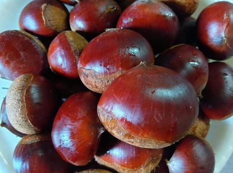 栗、山盛り 栗,山盛り,木の実の写真素材