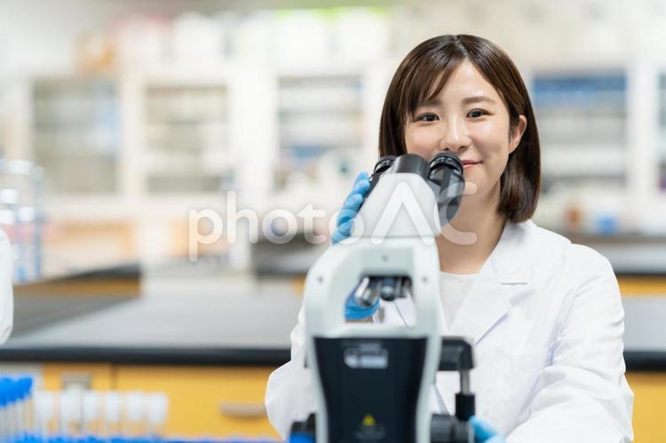 研究所で実験をする研究者 研究,実験,科学の写真素材