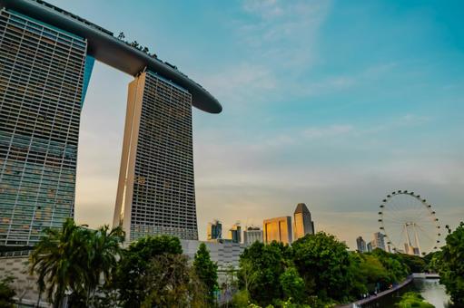 【シンガポール】マリーナベイサンズ ガーデンズバイザベイ,singapore,緑の写真素材