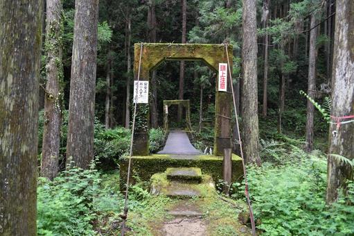 吊り橋 吊り橋の写真