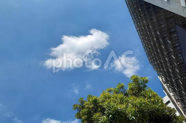 青空とビジネス街② ビル,青空,空の写真素材