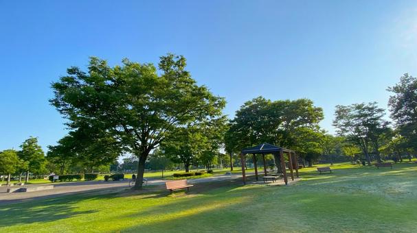 朝の北部公園(金沢市):4 朝の北部公園(金沢市):4 公園,春,夏の写真素材