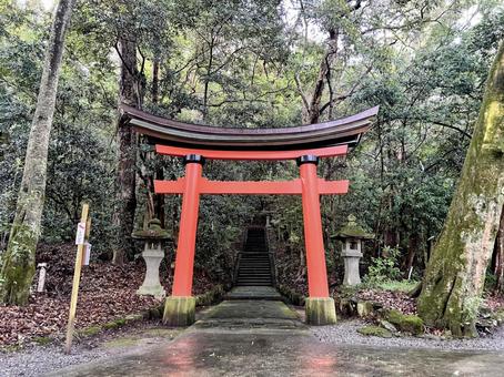 宇佐神宮 宇佐神宮,鳥居,パワースポットの写真素材