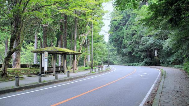 晩夏の恩賜箱根公園前バス停付近 晩夏の恩賜箱根公園前バス停付近 恩賜鉾根公園,晩夏,バス停の写真素材