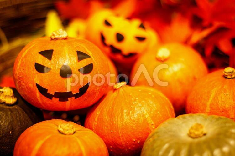 たくさんのミニカボチャとハロウィンイメージ ミニかぼちゃ,赤い坊ちゃん,ハロウィンの写真素材