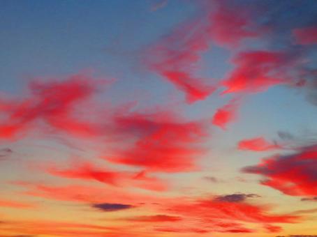 7月下旬の野田池の夕暮れ 7月下旬の野田池の夕暮れの写真