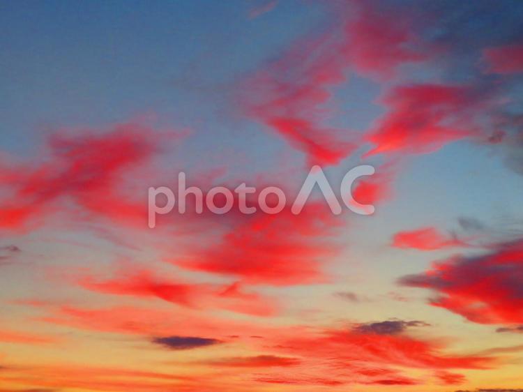 ７月下旬の野田池の夕暮れ 背景,夕暮れ,夕焼けの写真素材
