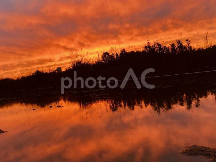 夕日　夕方　太陽　景色　綺麗　美しい 夕日,夕方,太陽の写真素材
