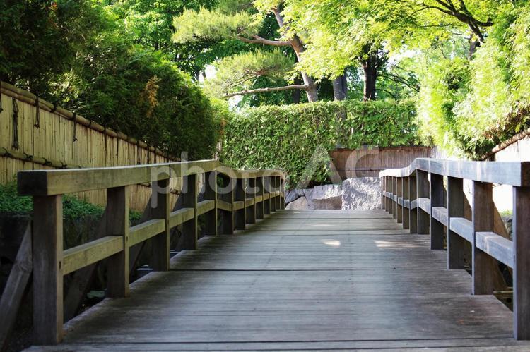 百合が原公園　日本庭園への道 日本庭園,百合が原公園,庭園の写真素材