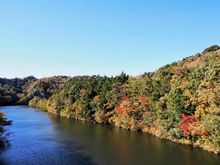 秋の笹川湖＆湖畔の紅葉（千葉県・君津市） 秋,笹川湖,紅葉の写真素材