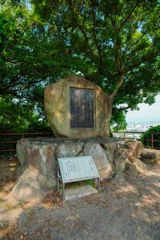 【和歌山】和歌山城 2025 【和歌山】和歌山城 2025の写真