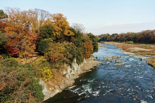 荒川の紅葉 荒川の紅葉 紅葉,紅葉写真,黄葉の写真素材