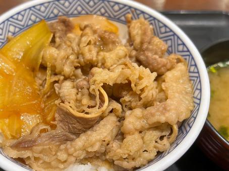 美味しそうな牛丼 牛丼,丼,どんぶりの写真素材