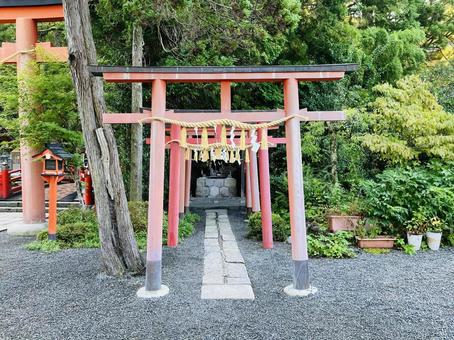 天河神社 稲荷神社 天河神社 稲荷神社の写真