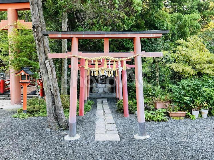 天河神社　稲荷神社 天河神社,天河大辨財天社,天河大弁財天社の写真素材