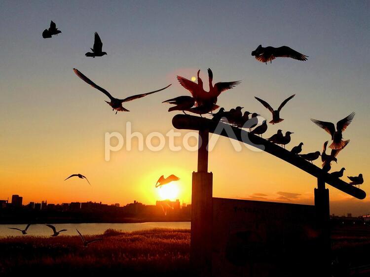 夕暮れ 夕暮れ,夕焼け,夕映えの写真素材