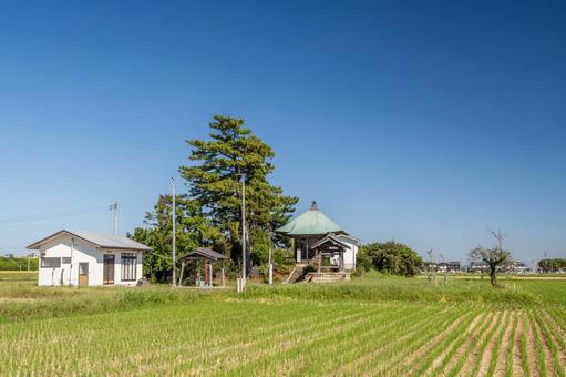 下飯田薬師堂古墳⒄ 下飯田薬師堂古墳⒄ 薬師堂,仏堂,薬師如来の写真素材