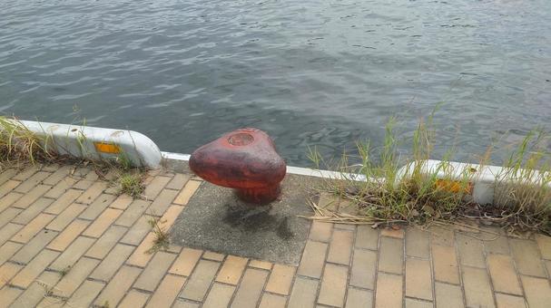 岸壁 岸壁 なぎさ公園,神戸,埠頭の写真素材