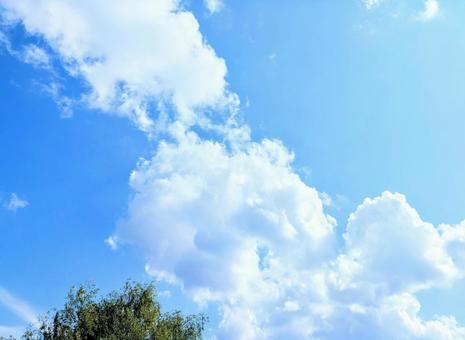 青空と雲 青空と雲の写真