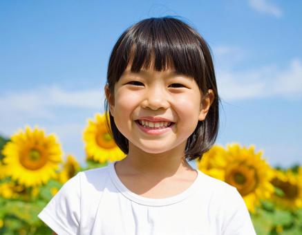 ひまわり畑と子供と青空 ひまわり畑と子供と青空の写真