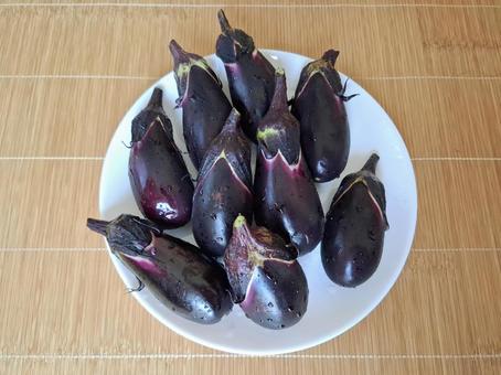 採れたて茄子_3 採れたて茄子_3 夏野菜,野菜,茄子の写真素材