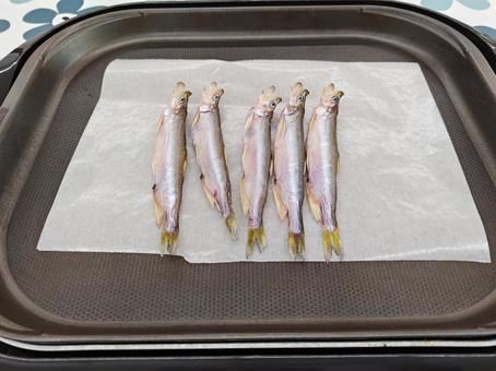 ししゃも ししゃも ホットプレート,背景素材,ししゃもの写真素材