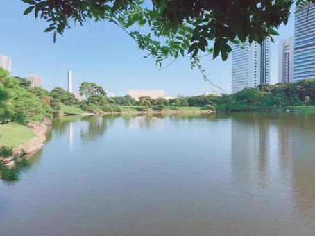 浜離宮 夏 浜離宮 夏 浜離宮恩賜公園,浜離宮,汐留の写真素材