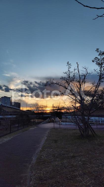 夕暮れ 夕暮れ,夕焼け,自然の写真素材
