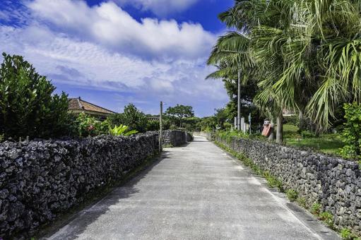 沖縄-【竹富島-竹富島の風景】 沖縄-【竹富島-竹富島の風景】 海,青,青空の写真素材