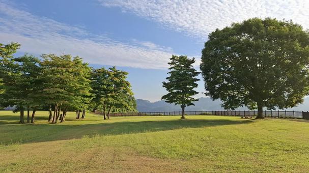 Blue sky, park, lawn and trees, JPG
