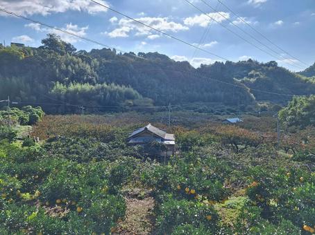一軒家 風景,空,田舎の写真素材