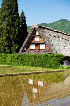 日本百景 日本百景の写真