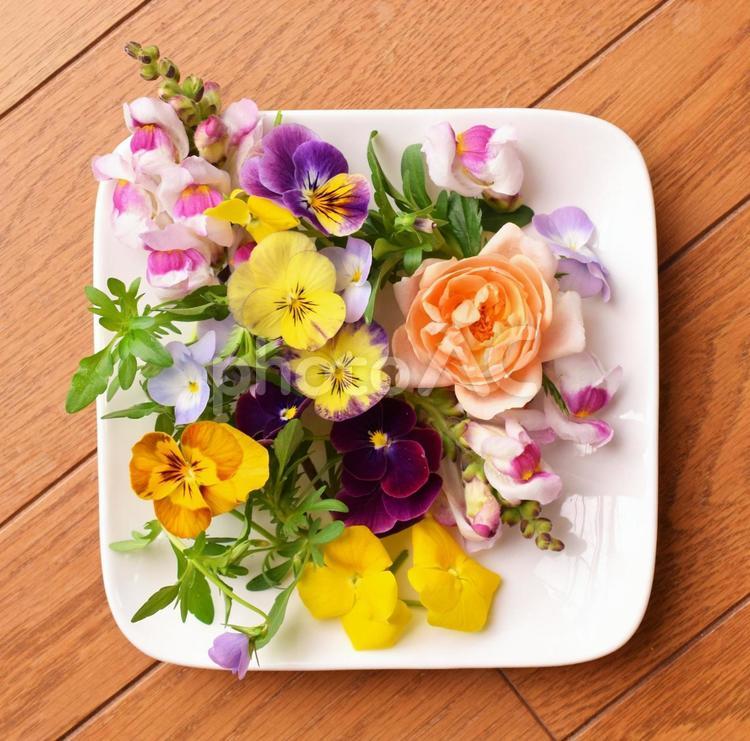 皿に載せたビオラと薔薇と金魚草のエディブルフラワーの花 エディブルフラワー,食べ物,食用花の写真素材