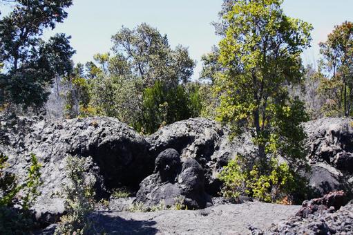 Photo, キ ラ ウ エ ア volcano, lava trail, island of hawaii, 