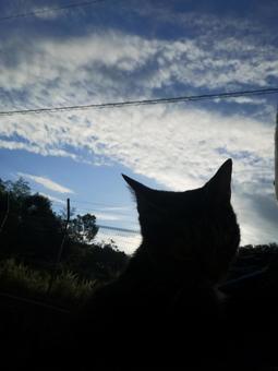 また明日 また明日の写真