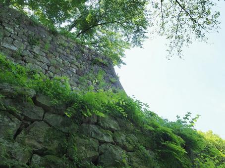 夏の景色７ 石垣,石積み,村上城跡の写真素材