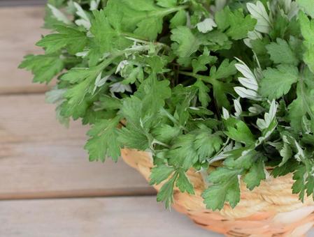 Harvested mugwort, fresh mugwort, punta, pelin, pelin, JPG