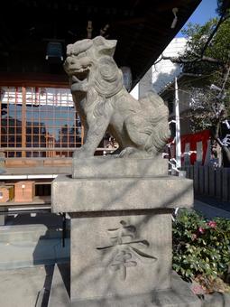 白山神社 大阪 狛犬 白山神社 大阪 狛犬 白山神社,狛犬,大阪の写真素材