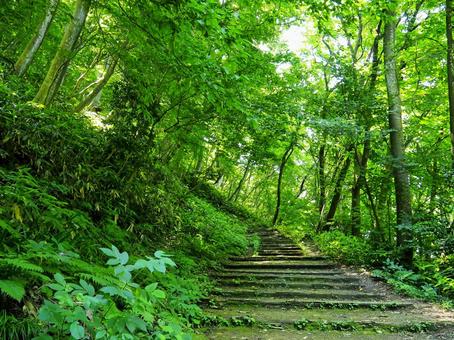 山道24 山道24の写真